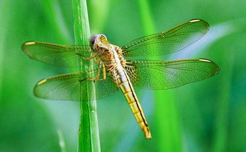 ׽��������(15ƪ)