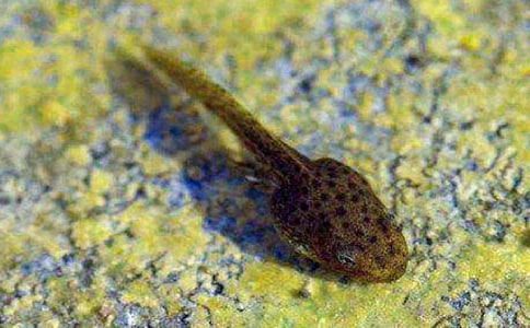 �����䡿ץ�������