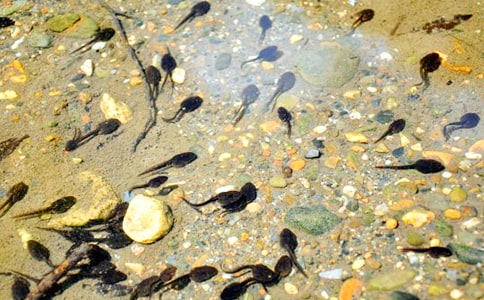 �ɐ۵�С�������[��ȫ15ƪ]