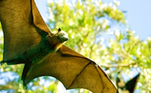 �����ʲô�����ϳ�������