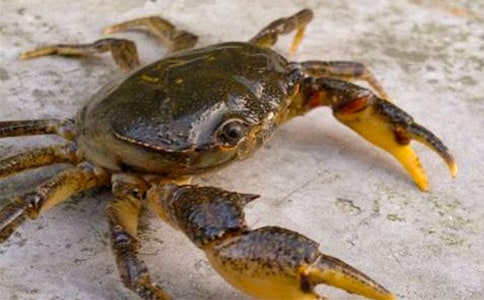 ��з����(����15ƪ)