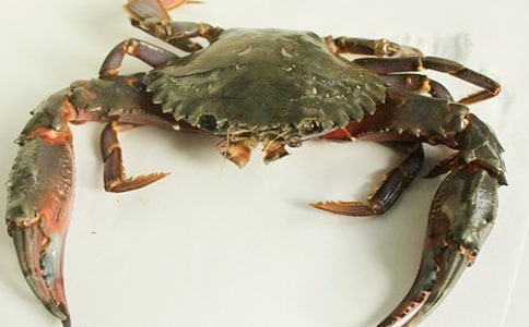 �з��(y��u)�����Ľ�(j��ng)�䡾15ƪ��