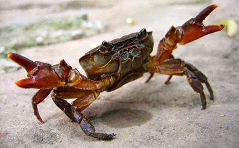 [�ϼ�]���з����2ƪ