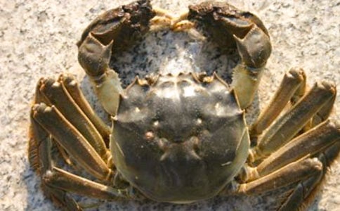 ��з���ľ��x15ƪ