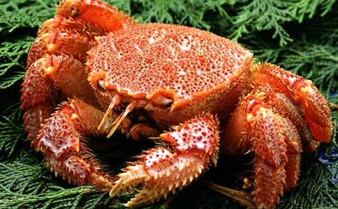 ��з����(�R��15ƪ)