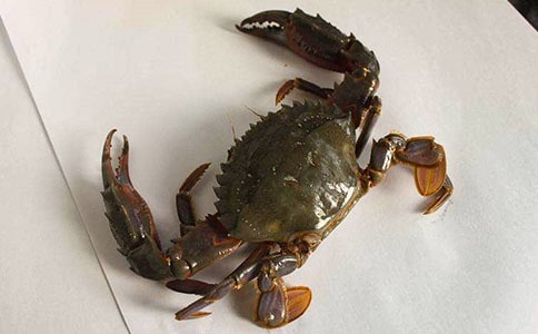 ��з����(15ƪ)