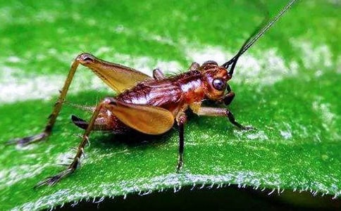 ׽������(���x15ƪ)