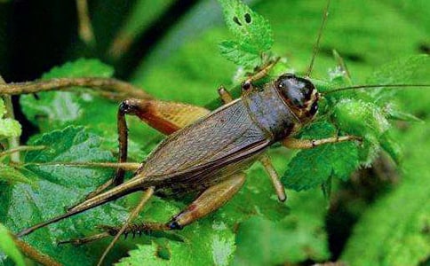 ���סլ�̌W(xu��)�O(sh��)Ӌ(j��)��ͨ��14ƪ��