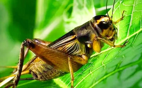 �^��������