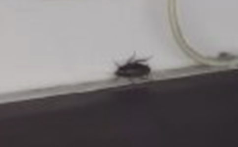 ��������ģ�ͨ��32ƪ��