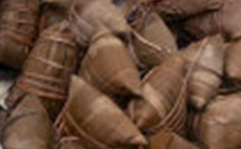 關(guān)于粽子的作文