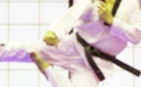 難忘的跆拳道比賽作文(通用5篇)