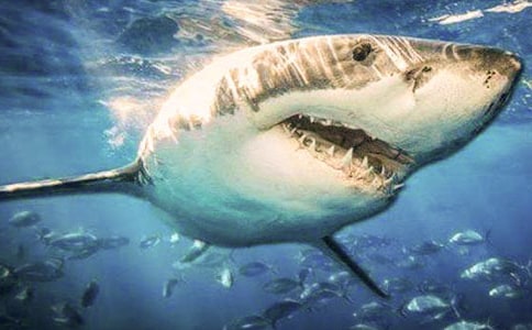 ���~������