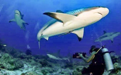 �茑���~(y��)�ľ���