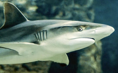 8�����������~��