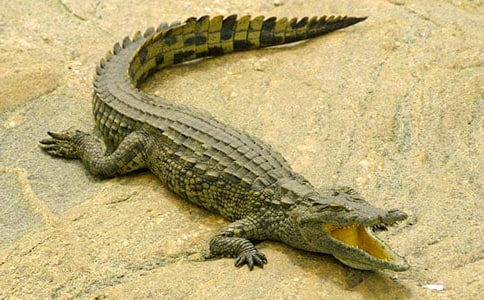 �{�~�u������500������