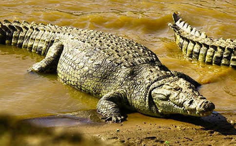 �{�~����ӛ