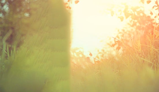 ������ĭ��Ψ������