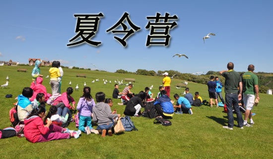 �옷������IС�W(xu��)�����ģ�ͨ��3ƪ��