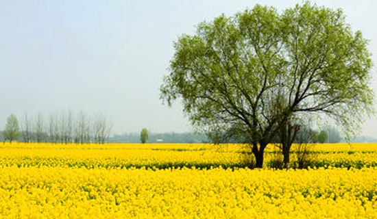 ���΃�(y��u)������[���A]