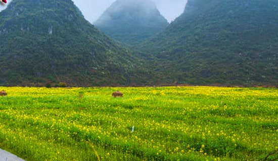 ����Ӌ(j��)������